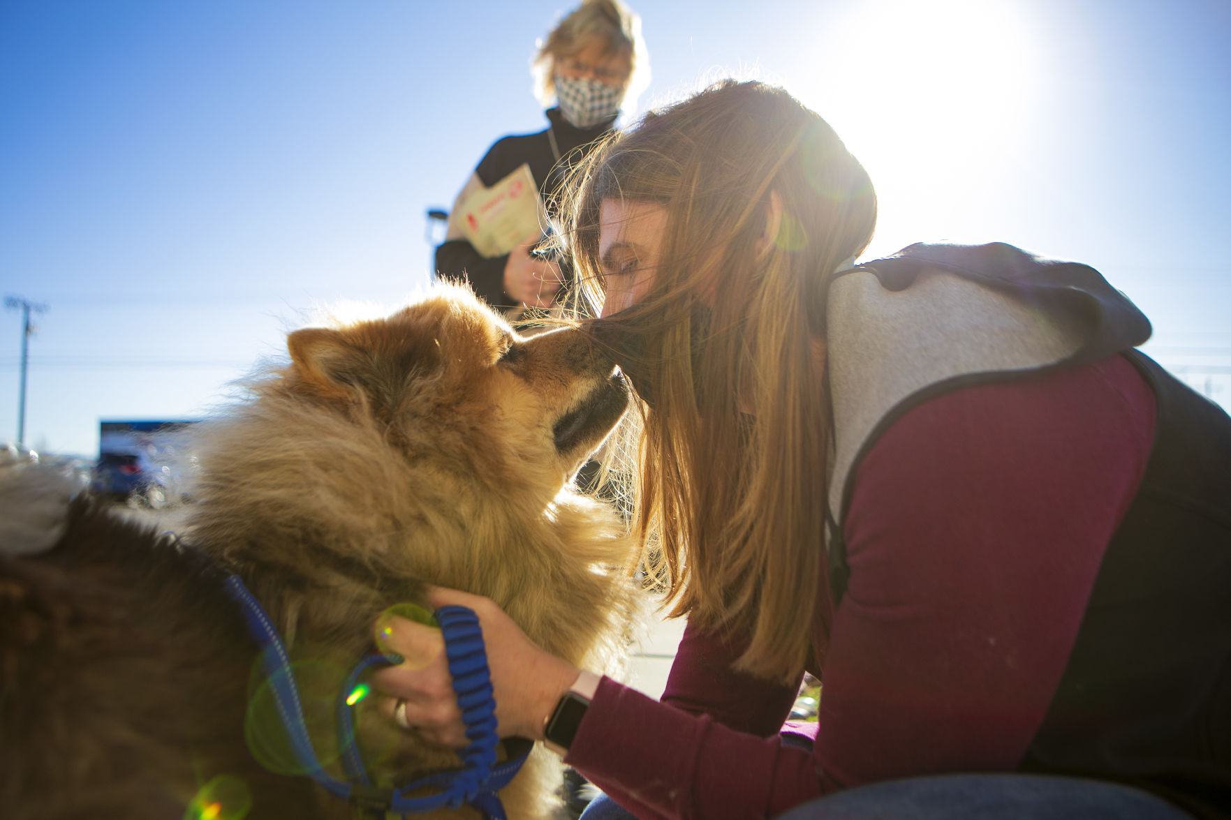 Leo the dog reunion